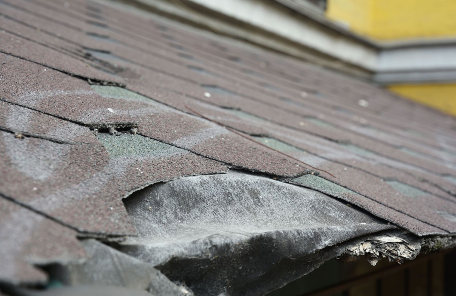 Middie Roofing LLC Images