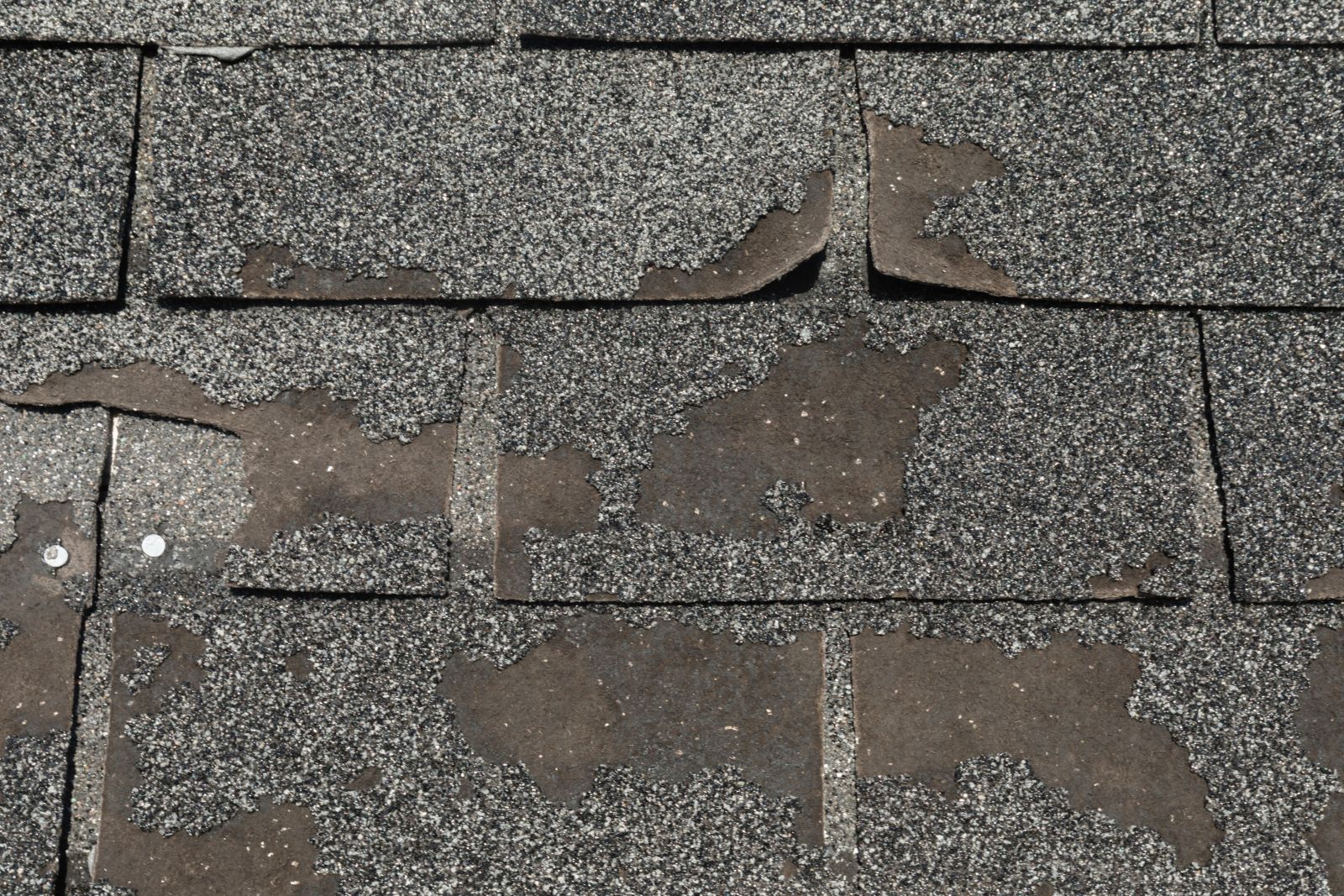 Middie Roofing LLC Images